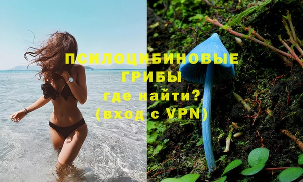 молекула духа Володарск