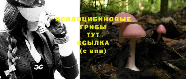 MDMA Волоколамск