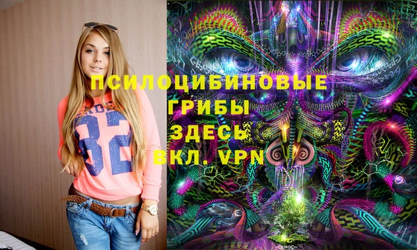 гашик Волосово
